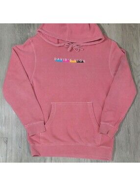 David’s Vlog Pink Pullover Hoodie Size Small YouTube Creator Merch Graphic #14